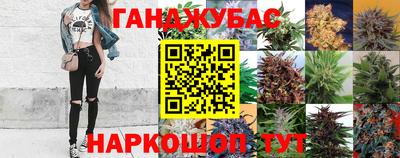 СК Будённовск