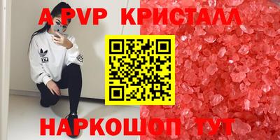 СК Будённовск